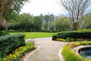 Image shows a public park with level footpaths and flowerbeds