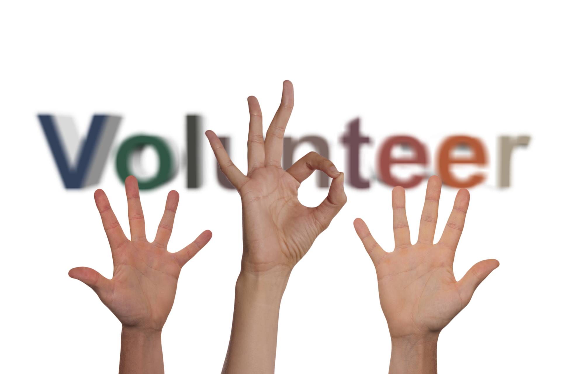 volunteers-2653980_1920